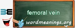 WordMeaning blackboard for femoral vein